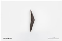 藏品(魚卡子)的圖片